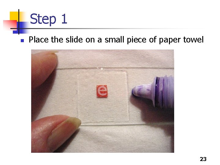 Step 1 n Place the slide on a small piece of paper towel 23