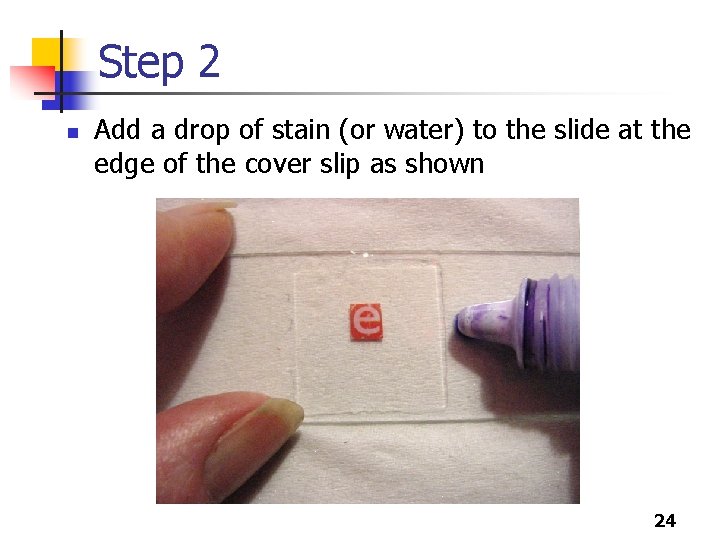 Step 2 n Add a drop of stain (or water) to the slide at