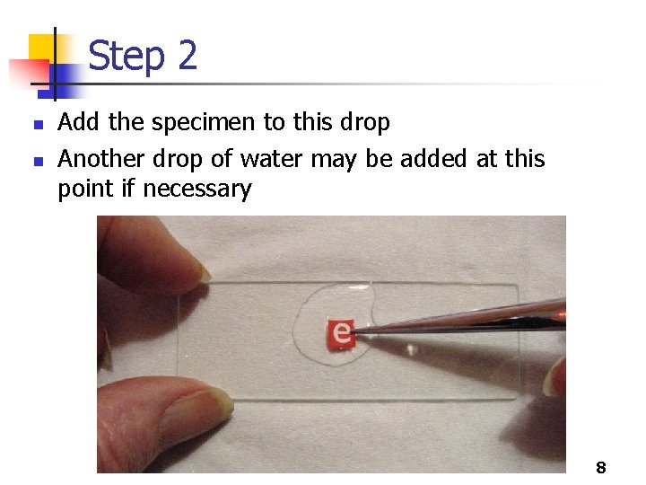 Step 2 n n Add the specimen to this drop Another drop of water