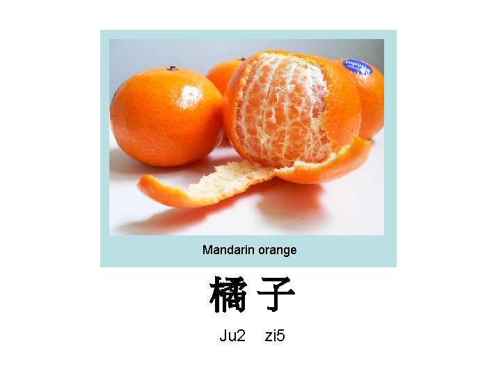 Mandarin orange 橘子 Ju 2 zi 5 