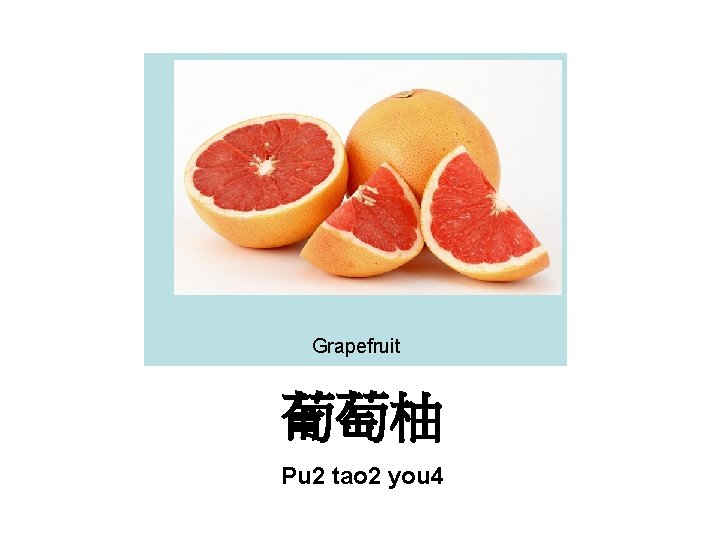 Grapefruit 葡萄柚 Pu 2 tao 2 you 4 