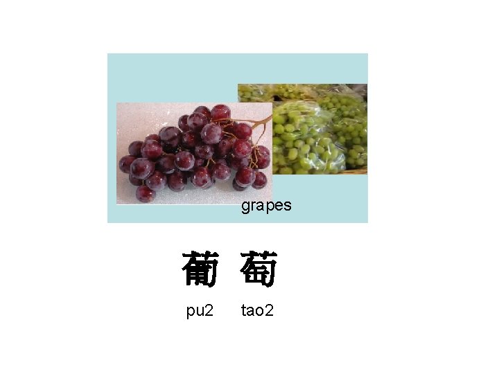 grapes 葡 萄 pu 2 tao 2 