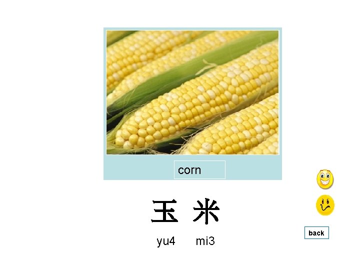 corn 玉 米 yu 4 mi 3 back 
