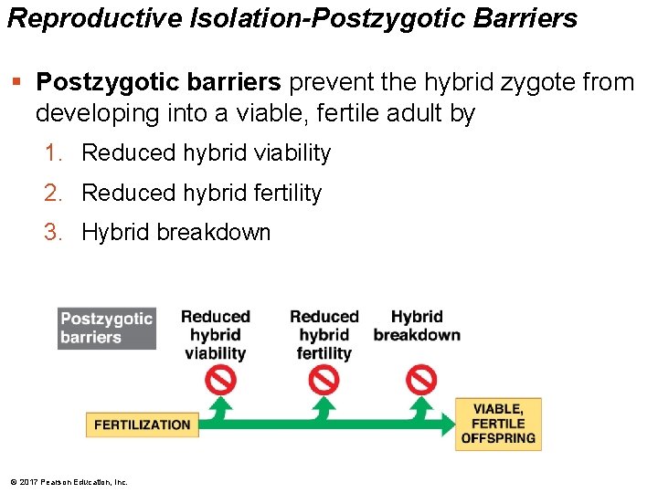 Reproductive Isolation-Postzygotic Barriers § Postzygotic barriers prevent the hybrid zygote from developing into a