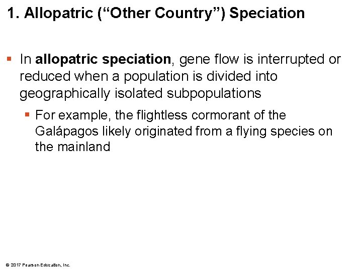 1. Allopatric (“Other Country”) Speciation § In allopatric speciation, gene flow is interrupted or