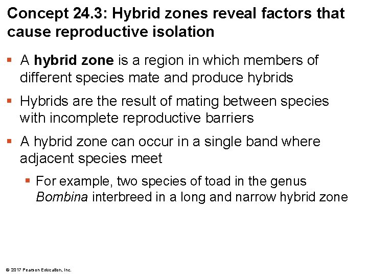 Concept 24. 3: Hybrid zones reveal factors that cause reproductive isolation § A hybrid