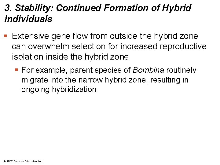 3. Stability: Continued Formation of Hybrid Individuals § Extensive gene flow from outside the