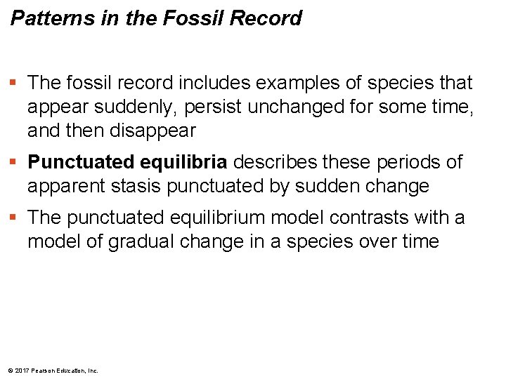 Patterns in the Fossil Record § The fossil record includes examples of species that