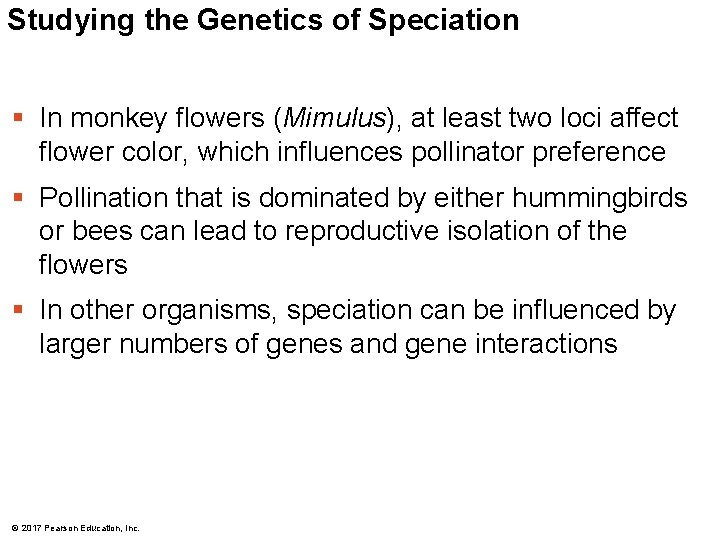 Studying the Genetics of Speciation § In monkey flowers (Mimulus), at least two loci