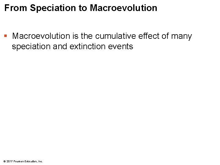 From Speciation to Macroevolution § Macroevolution is the cumulative effect of many speciation and