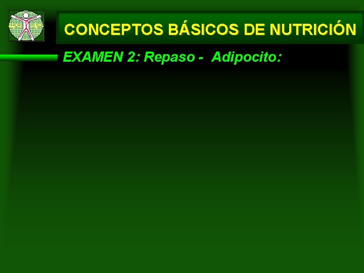 CONCEPTOS BÁSICOS DE NUTRICIÓN EXAMEN 2: Repaso - Adipocito: CONCEPTOS BÁSICOS DE NUTRICIÓN EXAMEN 2: Repaso - Adipocito: