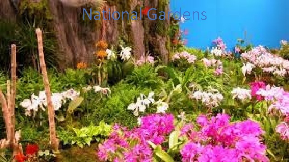 National Gardens 