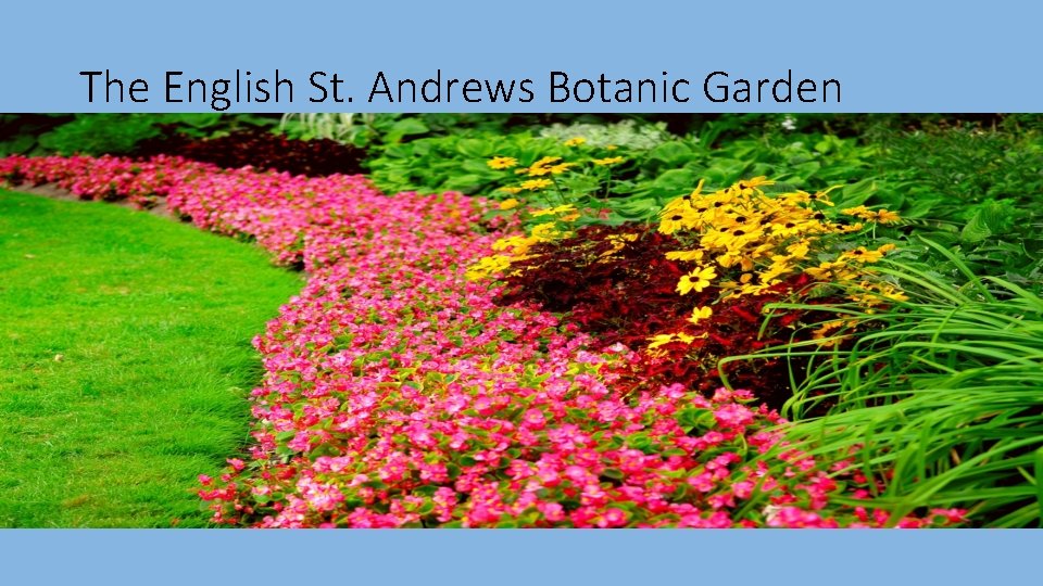 The English St. Andrews Botanic Garden 