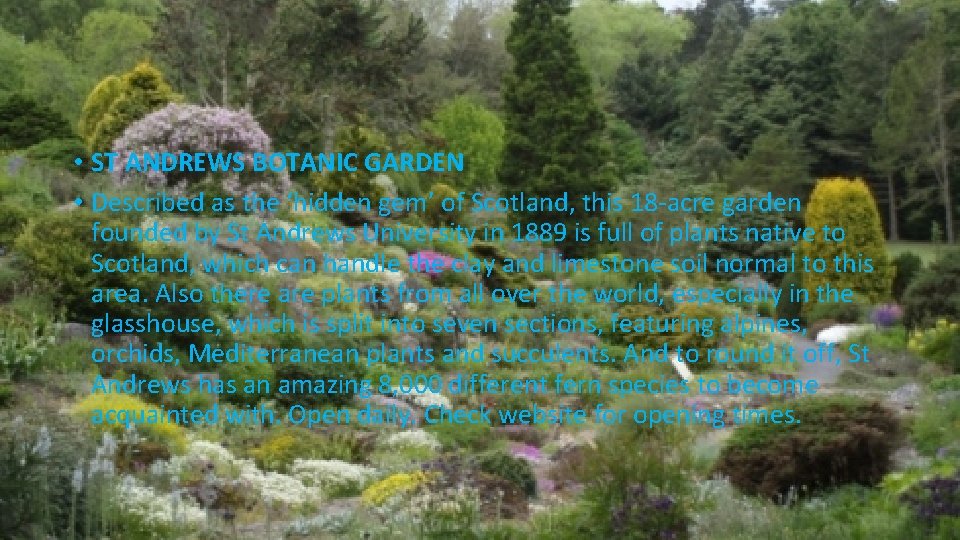  • ST ANDREWS BOTANIC GARDEN • Described as the ‘hidden gem’ of Scotland,