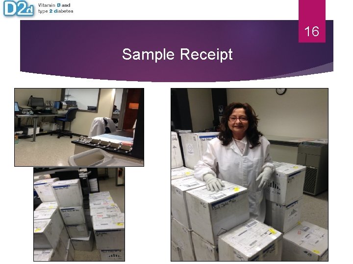 16 Sample Receipt 16 Sample Receipt