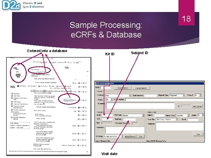 Sample Processing: e. CRFs & Database Entered into a database Kit ID Visit date Sample Processing: e. CRFs & Database Entered into a database Kit ID Visit date