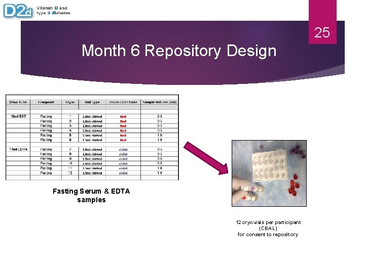 25 Month 6 Repository Design Fasting Serum & EDTA samples 12 cryovials per participant 25 Month 6 Repository Design Fasting Serum & EDTA samples 12 cryovials per participant