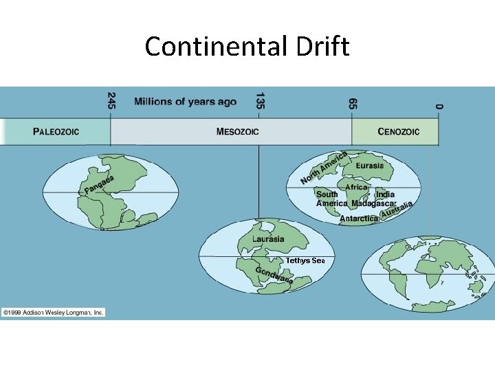 Continental Drift 