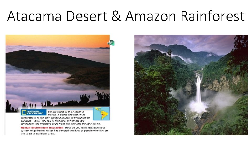 Atacama Desert & Amazon Rainforest 