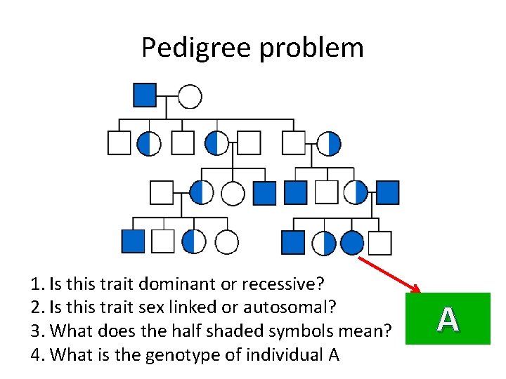 Pedigree problem 1. Is this trait dominant or recessive? 2. Is this trait sex