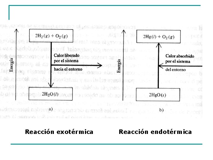 Reacción exotérmica Reacción endotérmica 