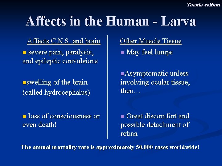 Taenia solium Affects in the Human - Larva Affects C. N. S. and brain