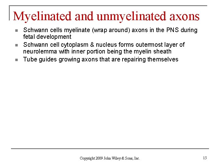 Myelinated and unmyelinated axons n n n Schwann cells myelinate (wrap around) axons in