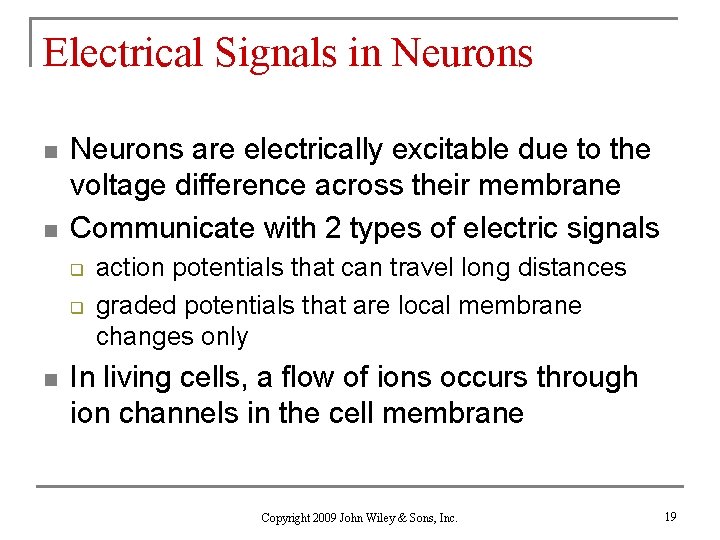 Electrical Signals in Neurons n n Neurons are electrically excitable due to the voltage