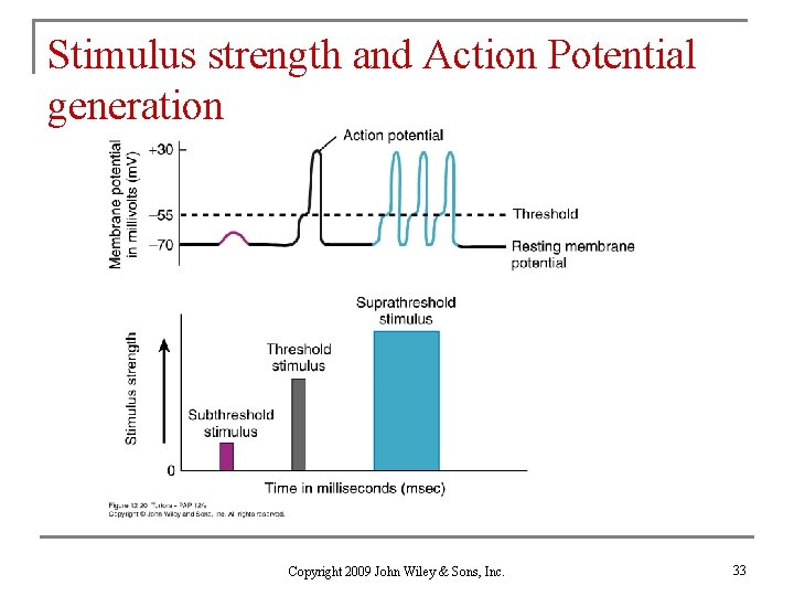 Stimulus strength and Action Potential generation Copyright 2009 John Wiley & Sons, Inc. 33