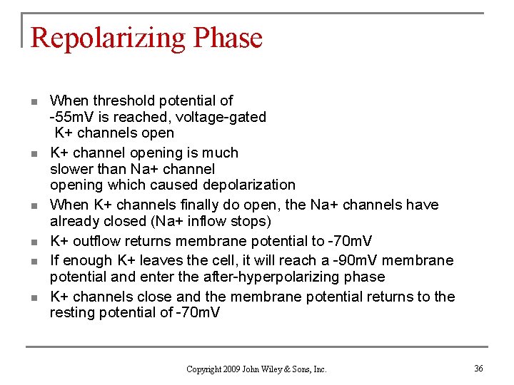 Repolarizing Phase n n n When threshold potential of -55 m. V is reached,