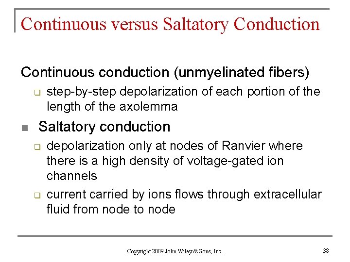 Continuous versus Saltatory Conduction Continuous conduction (unmyelinated fibers) q n step-by-step depolarization of each