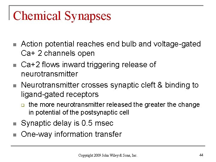 Chemical Synapses n n n Action potential reaches end bulb and voltage-gated Ca+ 2