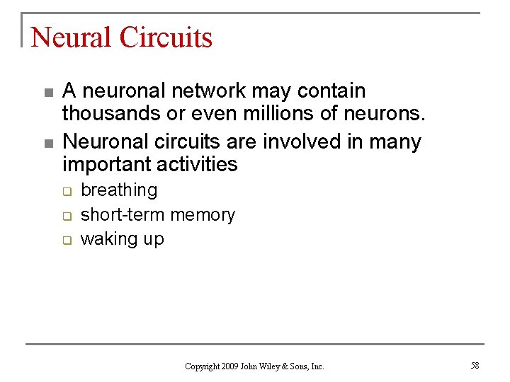 Neural Circuits n n A neuronal network may contain thousands or even millions of