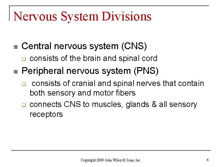 Nervous System Divisions n Central nervous system (CNS) q n consists of the brain