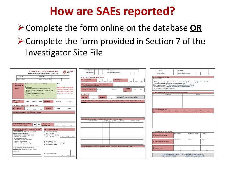 How are SAEs reported? Ø Complete the form online on the database OR Ø