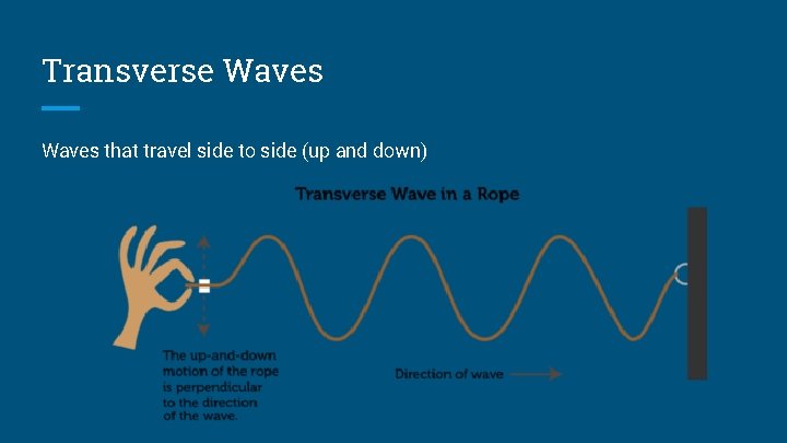 Transverse Waves that travel side to side (up and down) 