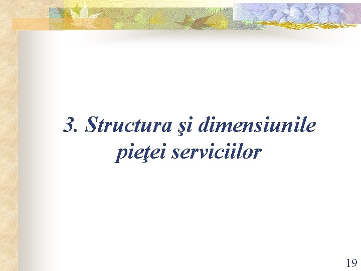3. Structura şi dimensiunile pieţei serviciilor 19 