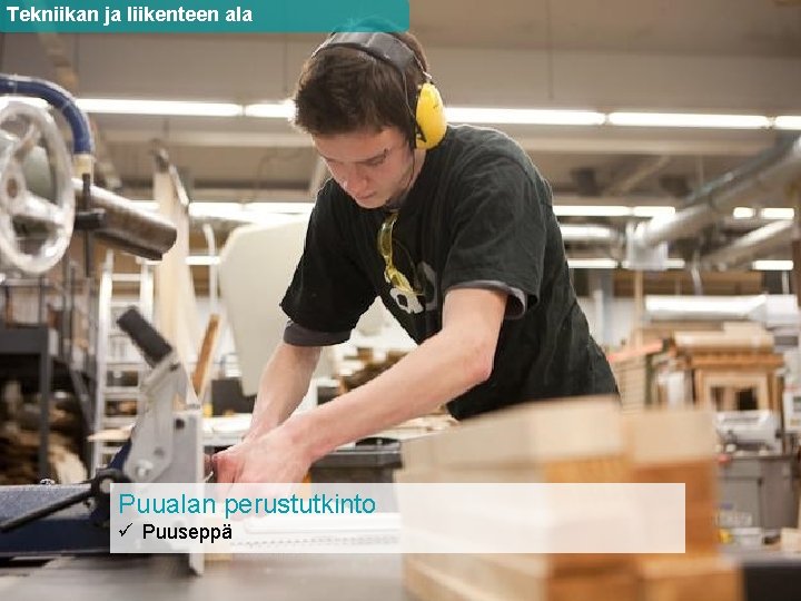 Tekniikan ja liikenteen ala Puualan perustutkinto ü Puuseppä 