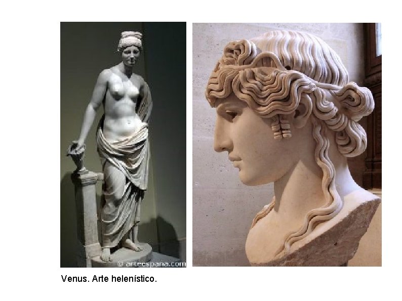 Venus. Arte helenístico. 