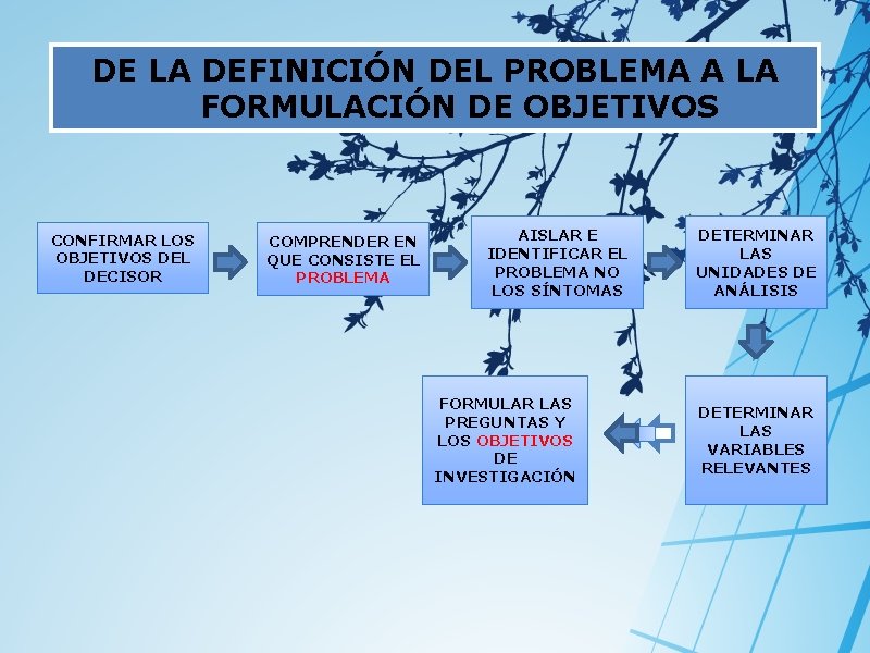 DE LA DEFINICIÓN DEL PROBLEMA A LA FORMULACIÓN DE OBJETIVOS CONFIRMAR LOS OBJETIVOS DEL