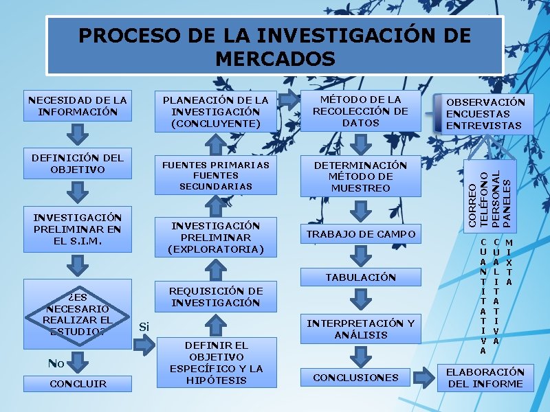PROCESO DE LA INVESTIGACIÓN DE MERCADOS DEFINICIÓN DEL OBJETIVO INVESTIGACIÓN PRELIMINAR EN EL S.