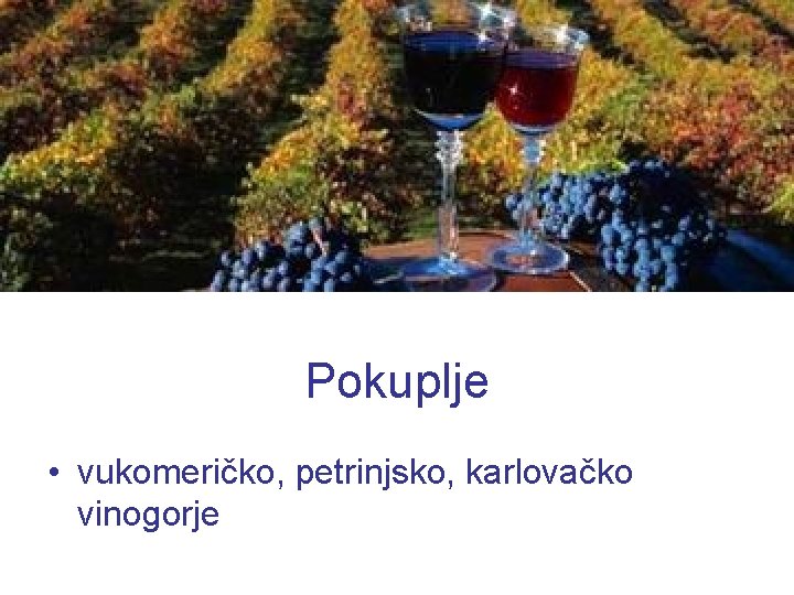 Pokuplje • vukomeričko, petrinjsko, karlovačko vinogorje 