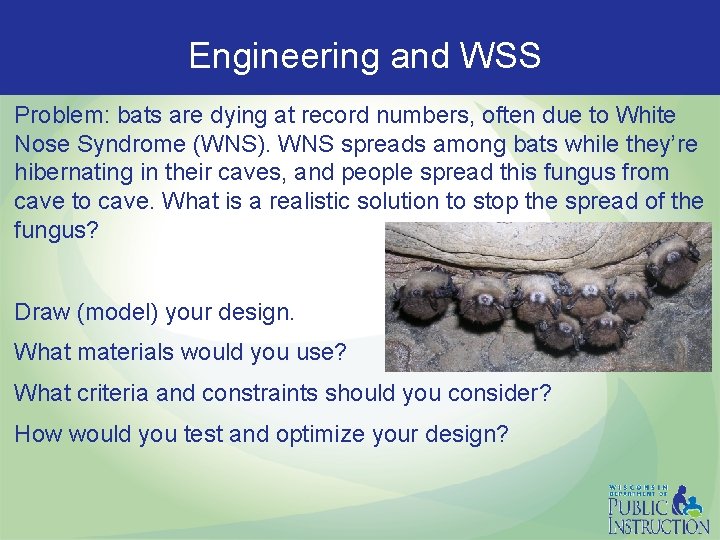  Engineering and WSS Problem: bats are dying at record numbers, often due to