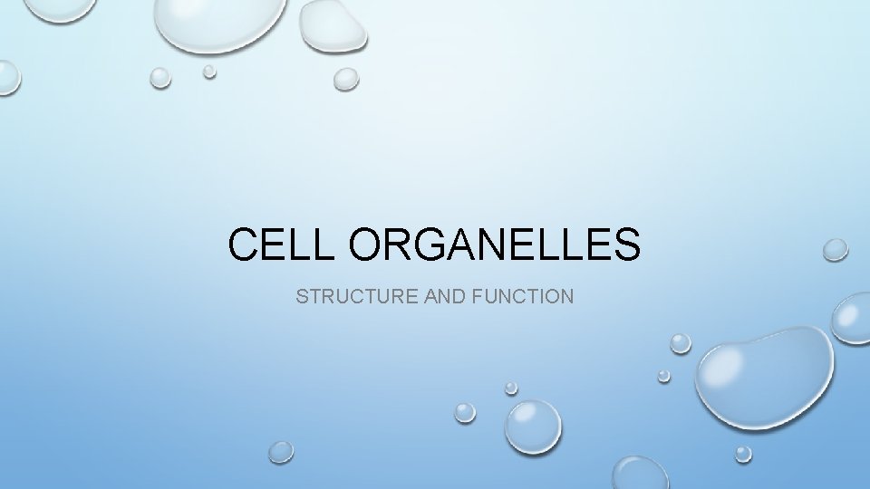 CELL ORGANELLES STRUCTURE AND FUNCTION 