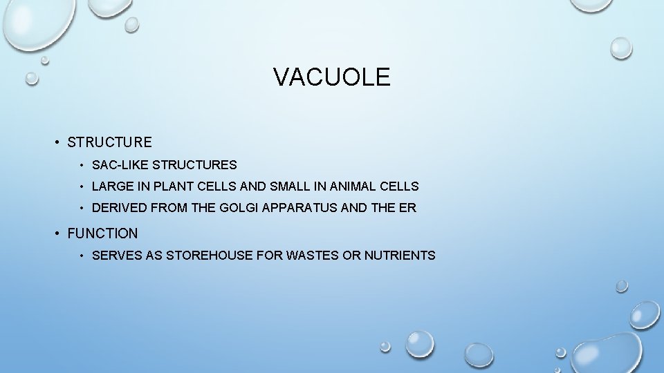 VACUOLE • STRUCTURE • SAC-LIKE STRUCTURES • LARGE IN PLANT CELLS AND SMALL IN