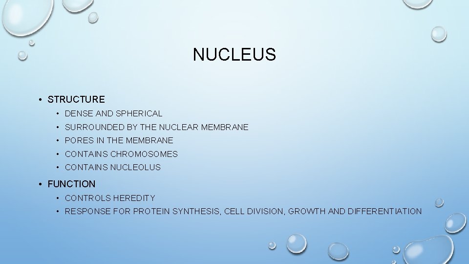 NUCLEUS • STRUCTURE • DENSE AND SPHERICAL • SURROUNDED BY THE NUCLEAR MEMBRANE •