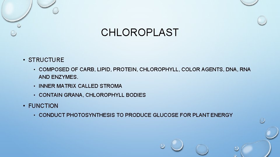 CHLOROPLAST • STRUCTURE • COMPOSED OF CARB, LIPID, PROTEIN, CHLOROPHYLL, COLOR AGENTS, DNA, RNA