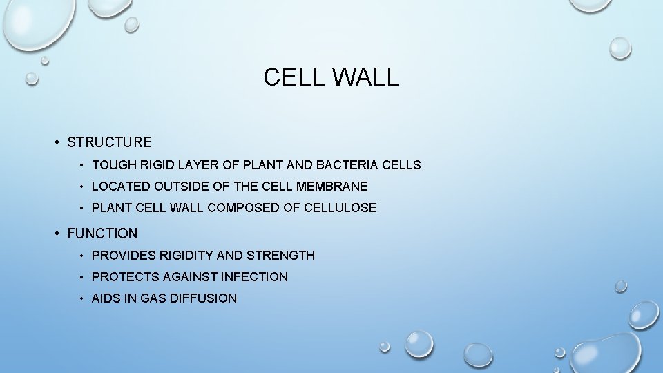 CELL WALL • STRUCTURE • TOUGH RIGID LAYER OF PLANT AND BACTERIA CELLS •