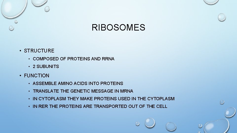 RIBOSOMES • STRUCTURE • COMPOSED OF PROTEINS AND RRNA • 2 SUBUNITS • FUNCTION