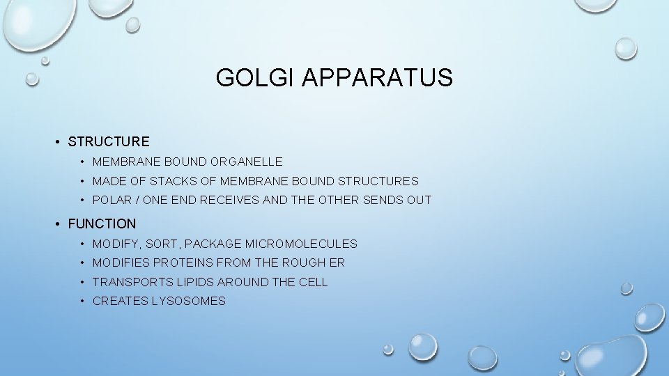 GOLGI APPARATUS • STRUCTURE • MEMBRANE BOUND ORGANELLE • MADE OF STACKS OF MEMBRANE